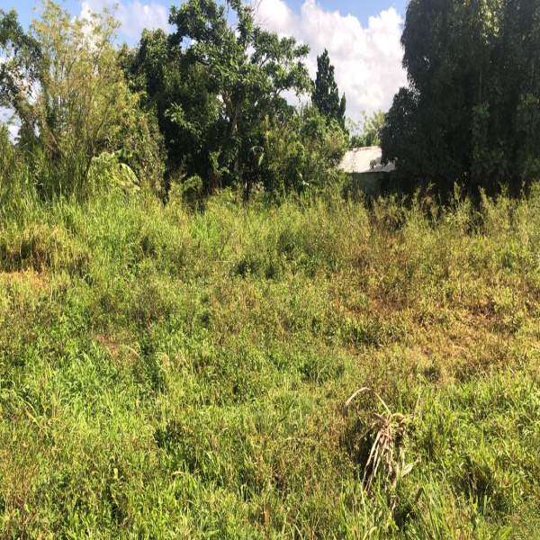 Offres de vente Terrain Lamentin 97129