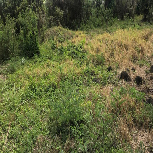 Offres de vente Terrain Goyave 97128
