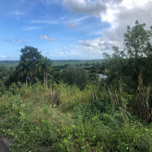 Offres de vente Terrain Morne-à-l'Eau 97111