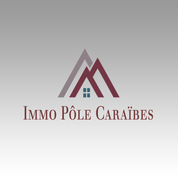Location Immobilier Professionnel Local professionnel Pointe-à-Pitre 97110