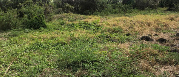Offres de vente Terrain Goyave 97128